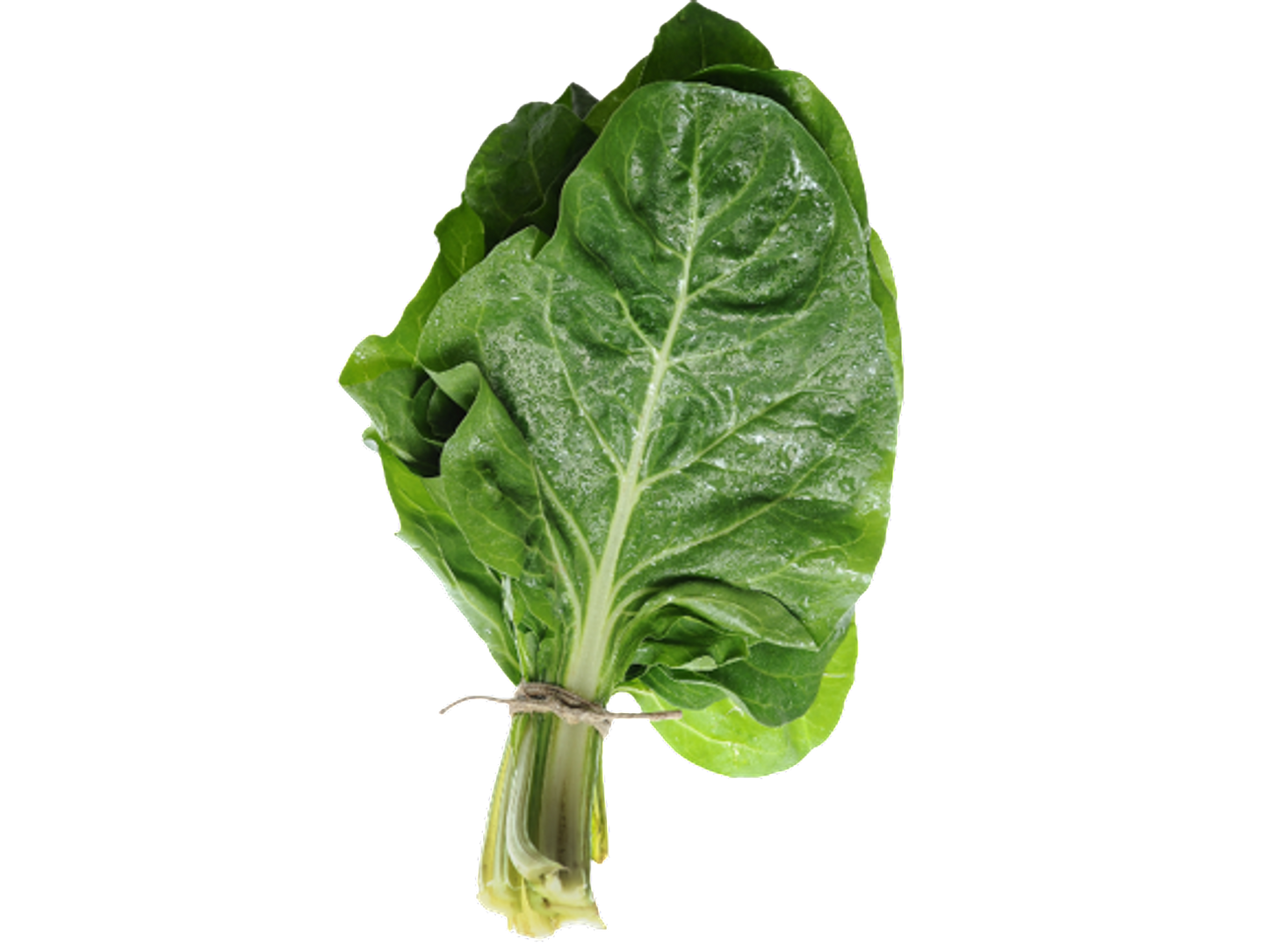 Swiss Chard (By Each)