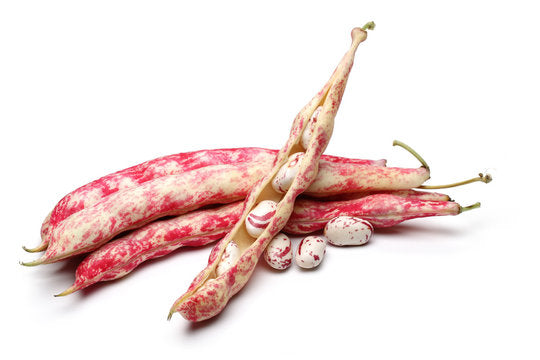 Beans Red (By LB)