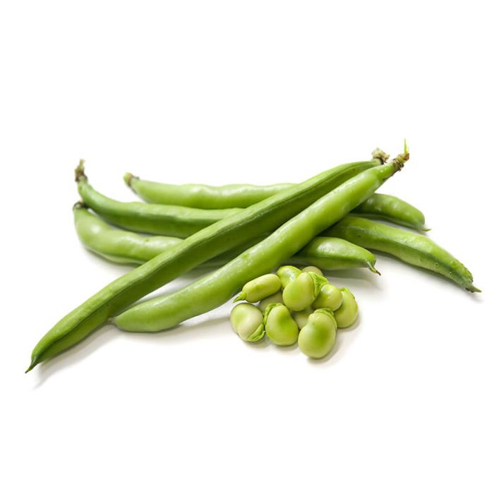Beans Fava (By LB)