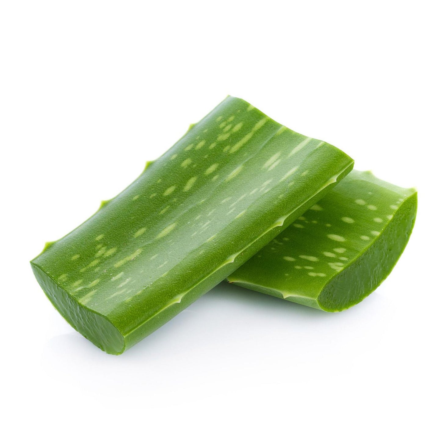 Aloe Vera (By Each)