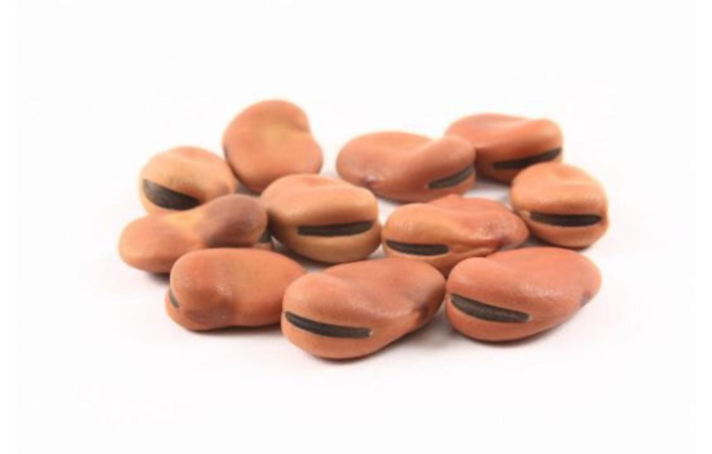 Large Fava Beans (2.99 PER-POUND)