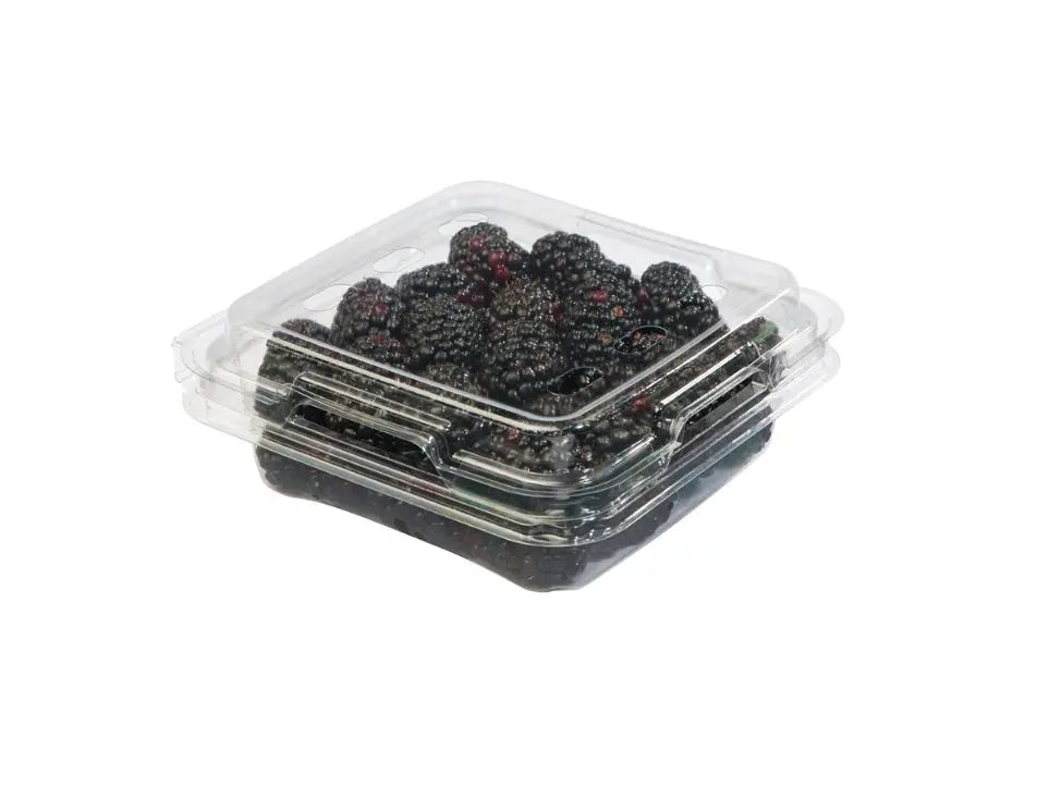 Blackberries Pack (By Each)