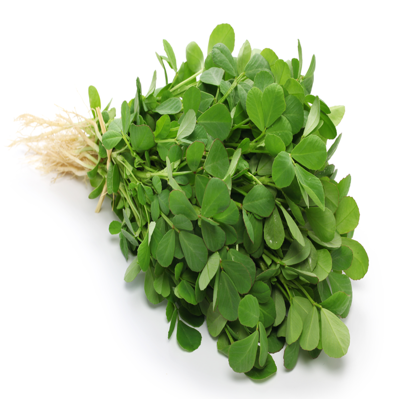 Fenugreek Green (By Each)