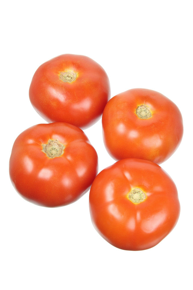 Tomatoes 5/6 (By LB)