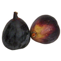 Figs Black (By LB)