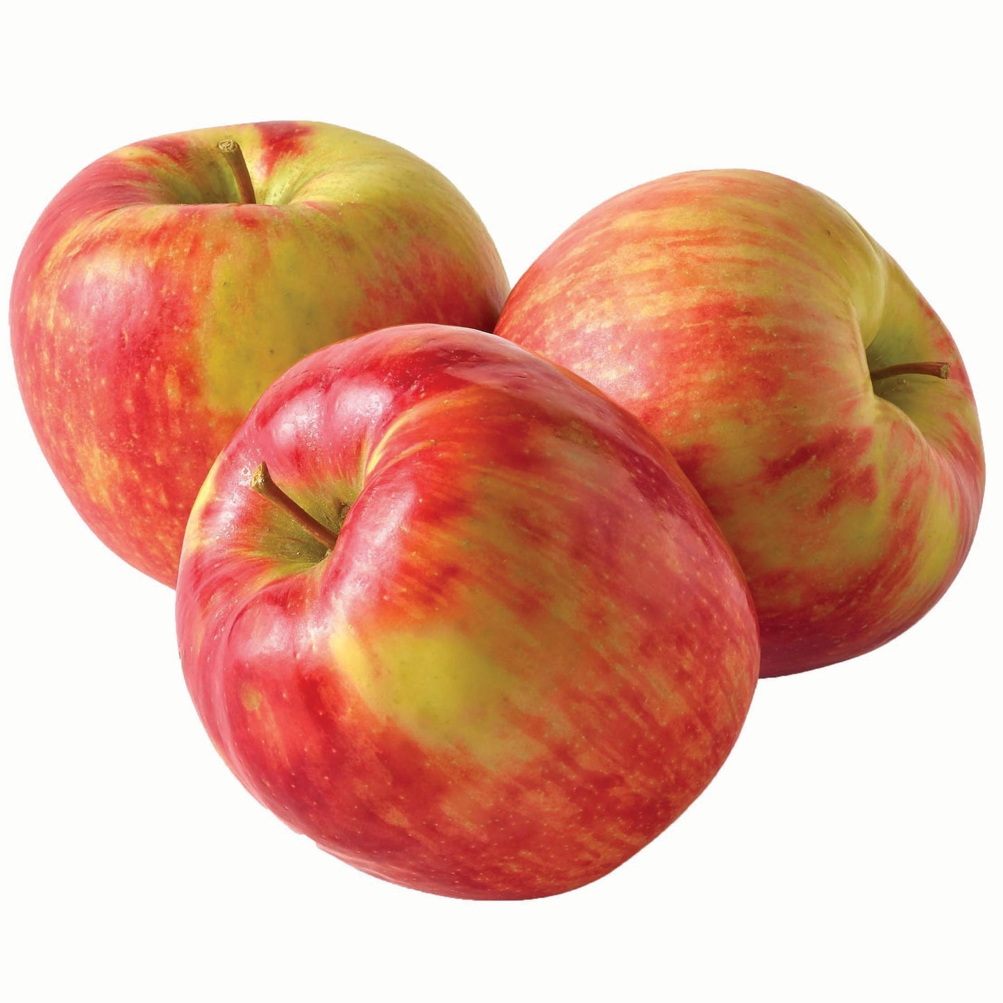 Apples Honeycrisp Large (By LB)