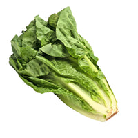 Lettuce Romaine (By Each)