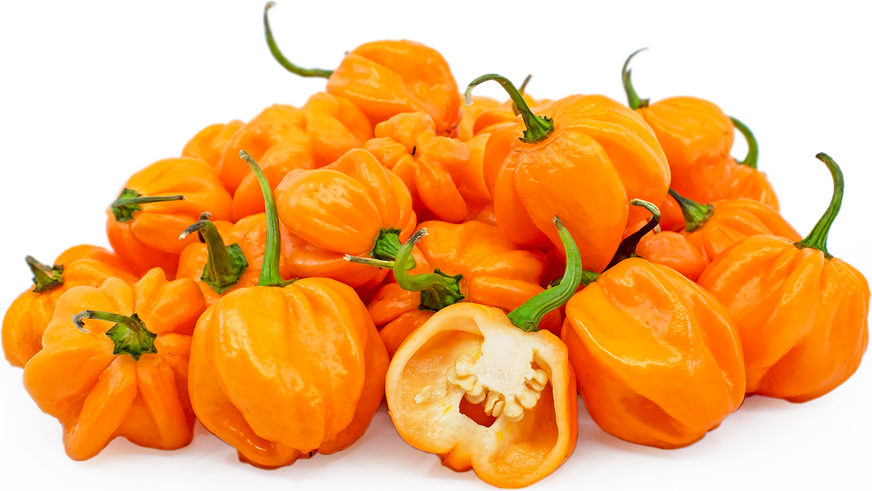 Pepper Orange Habanero (By LB)