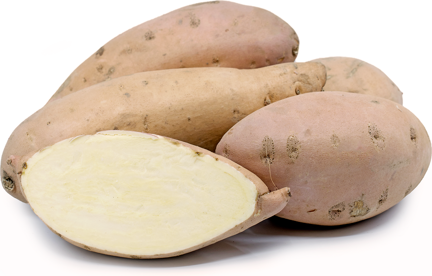 Potato Sweet White (By LB)