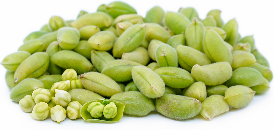 Green Chickpeas (By LB)
