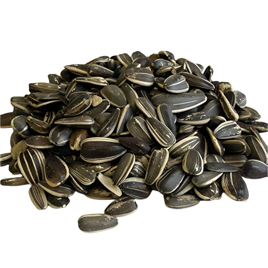 Sunflower Seeds Unsalted (1 lb)
