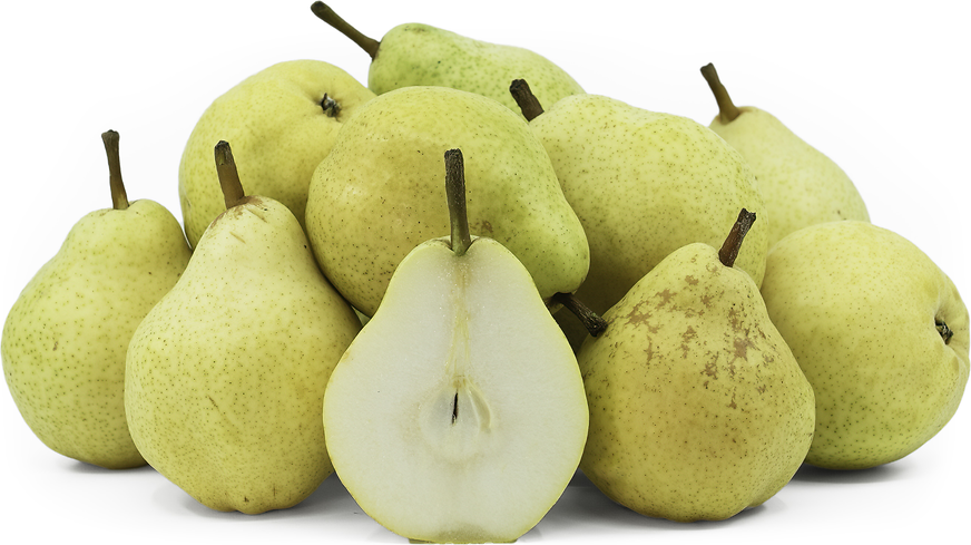 Pears Bartlett (By LB)