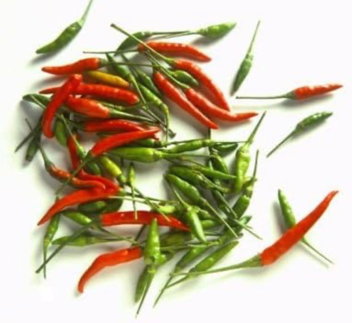 Thai Pepper (by lb)