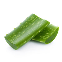 Aloe Vera (By Each)