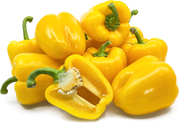 Bell Pepper Yellow (By LB)