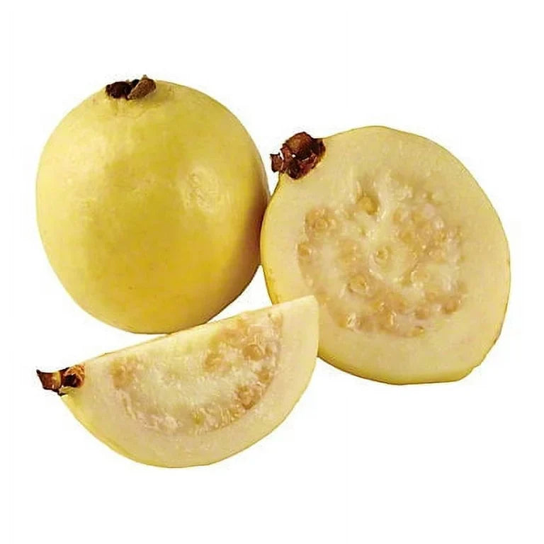Guava Pack Guava Pack (By Each) – Buffalo Fresh Markets