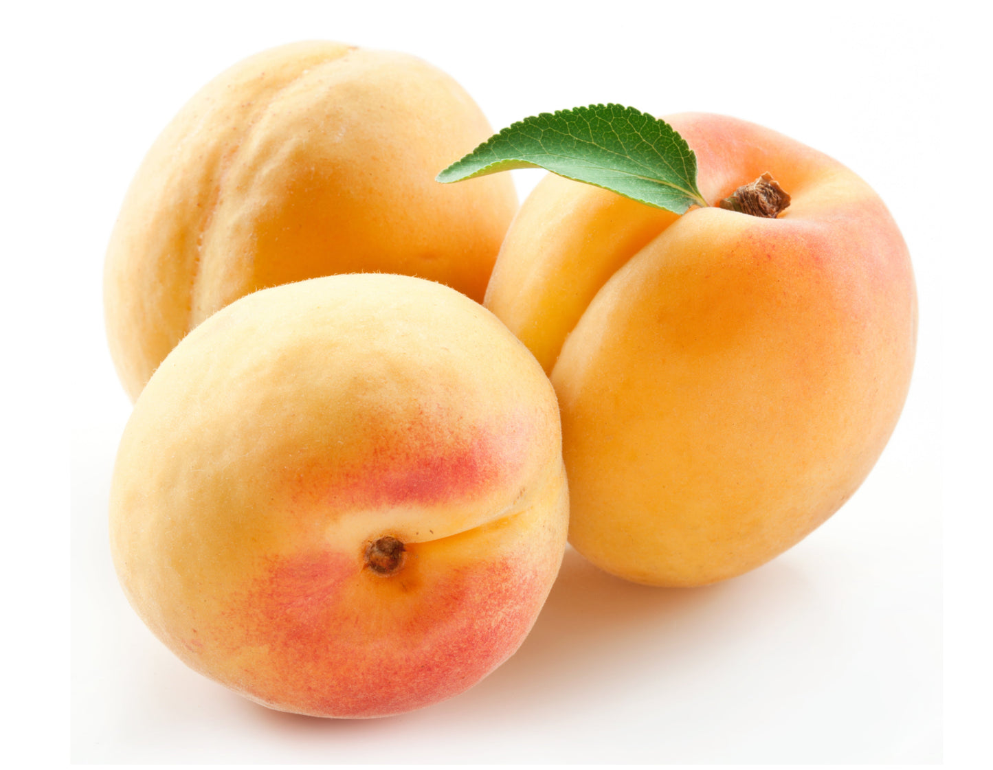 Apricots (By LB)