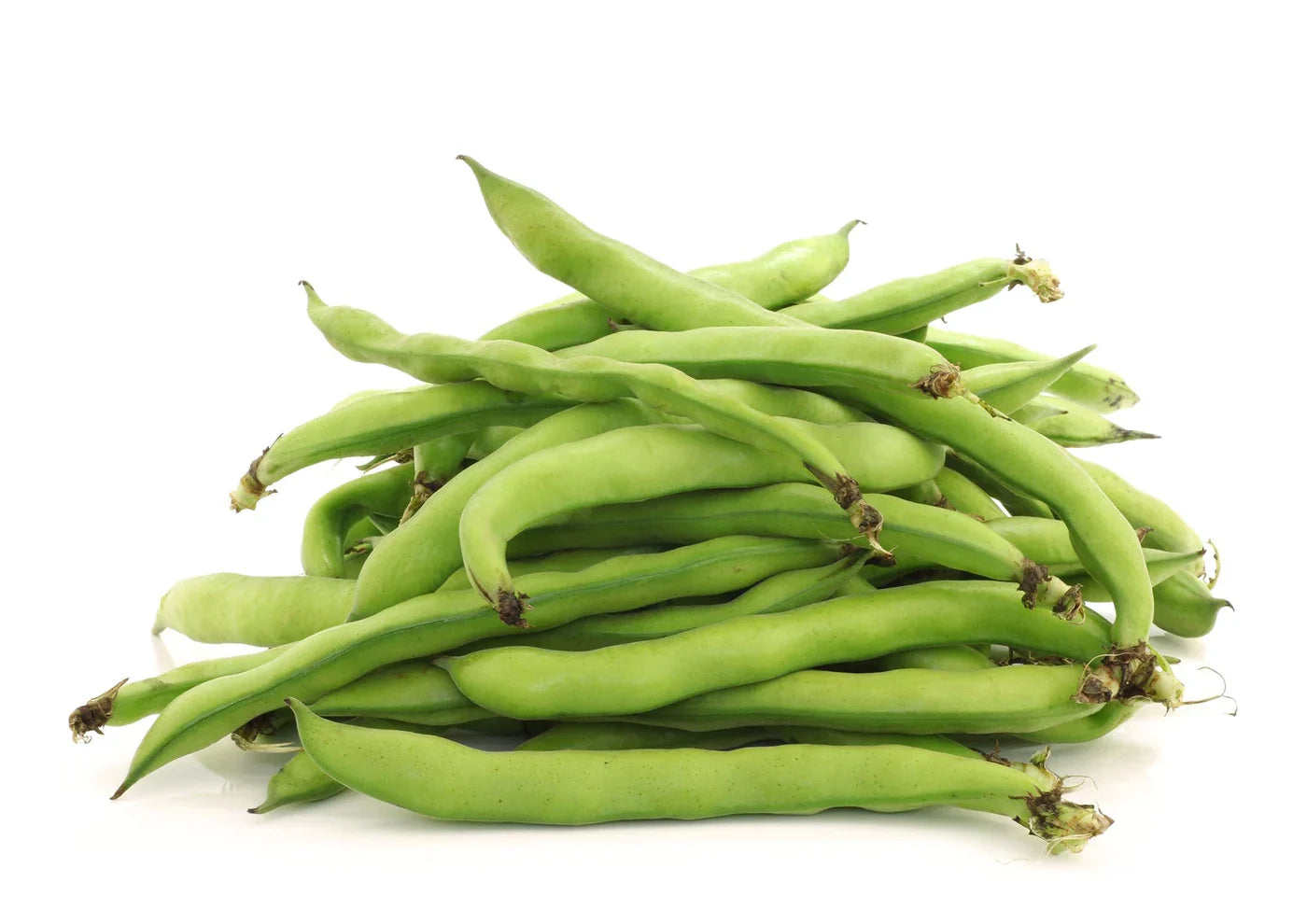 Beans Fava (By LB)