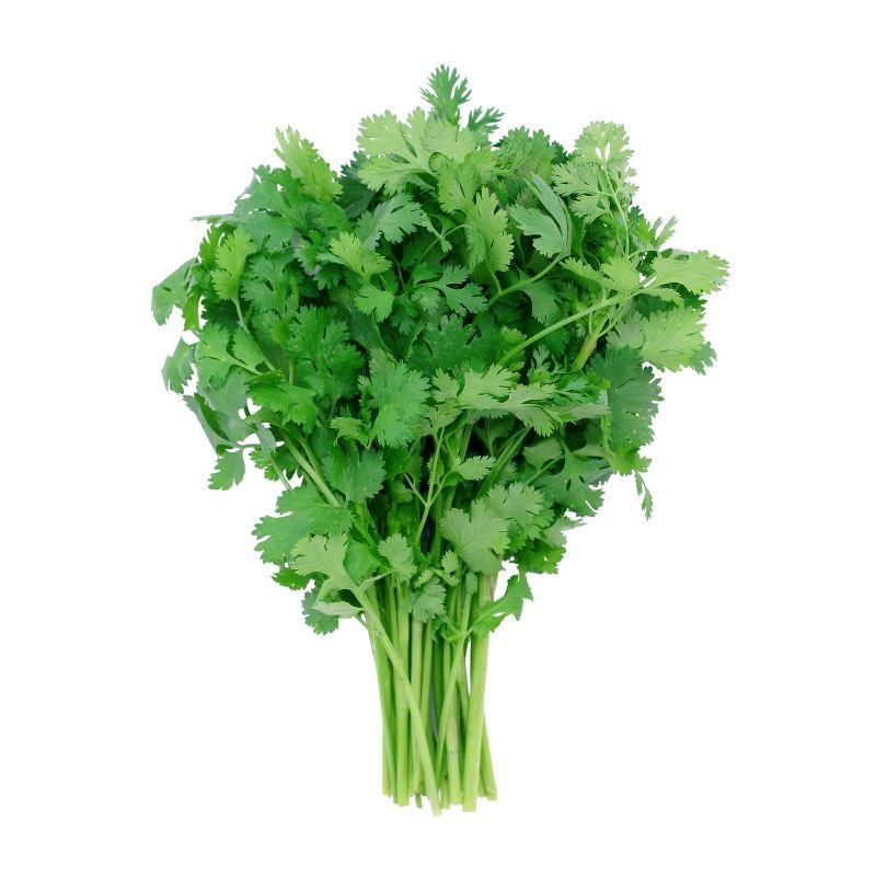 Cilantro (By Each)