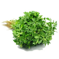 Fenugreek Green (By Each)