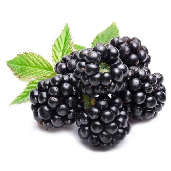 Blackberries Pack (By Each)