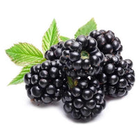 Blackberries Pack (By Each)