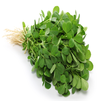 Fenugreek Green (By Each)