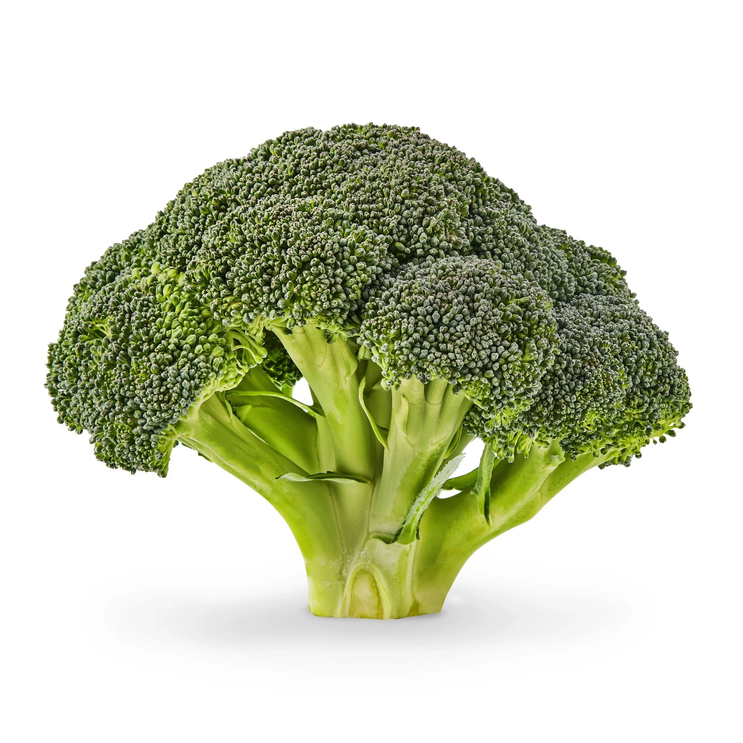 2lb Broccoli Broccoli Crowns (By LB) – Buffalo Fresh Markets