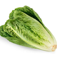 Lettuce Romaine (By Each)