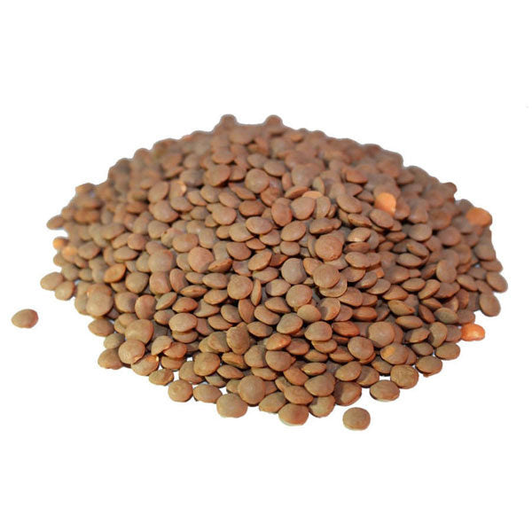 Brown Lentils (Per LB)