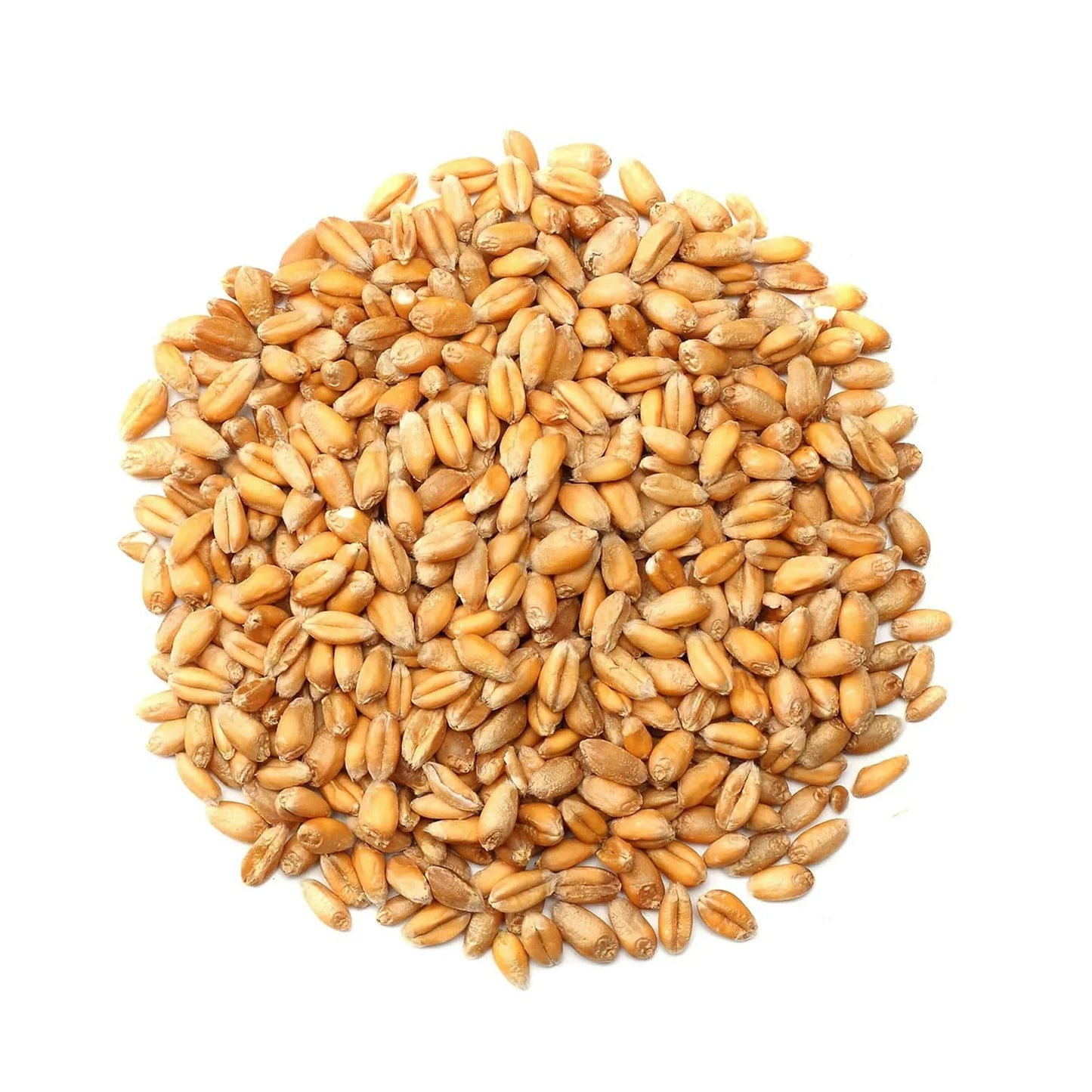 Peeled Whole Wheat (per LB)