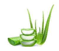 Aloe Vera (By Each)