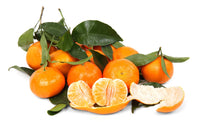 Oranges Satsuma (By LB)