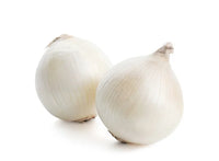 Onion White (By LB)