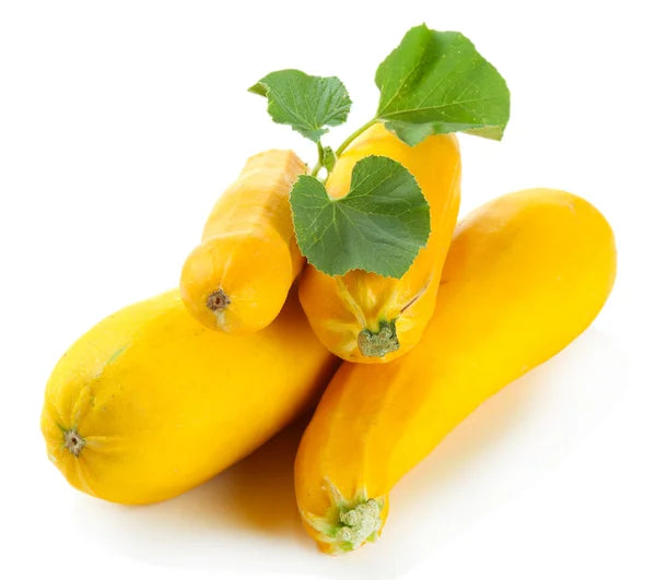 Zucchini Yellow (By LB)