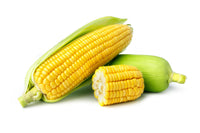 Corn (By Each)