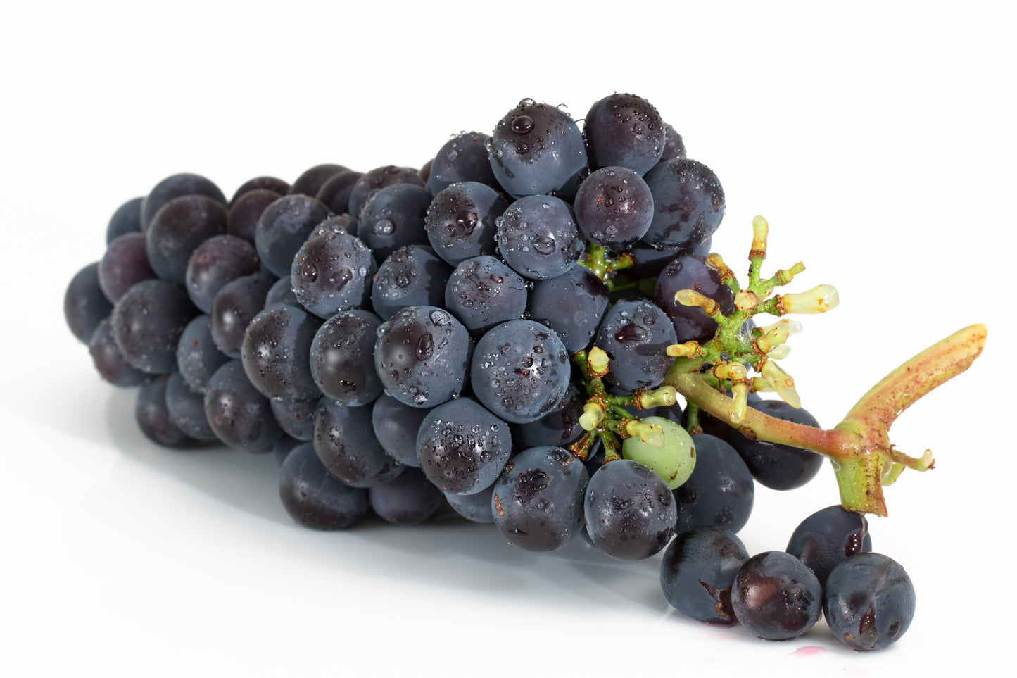 Grapes Black (By LB)