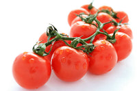 Tomatoes Vine (By LB)