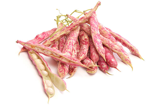Beans Red (By LB)