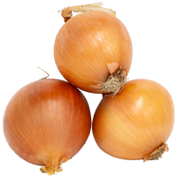 Onion Spanish (By LB)