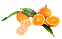 Oranges Satsuma (By LB)