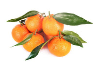 Oranges Satsuma (By LB)